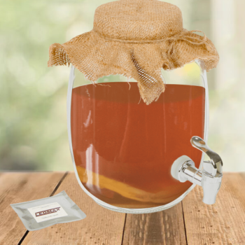 Грибной набор «Долголетие» - чайный, винный и кефирный гриб
